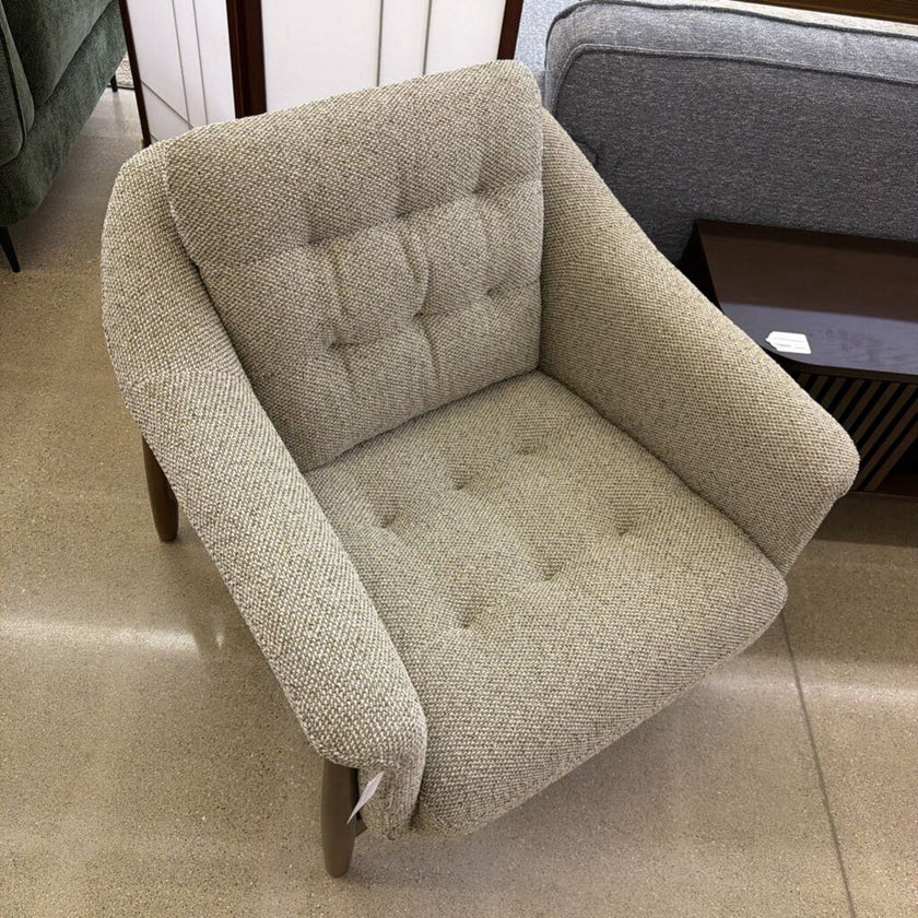 Caroni Olive Moss Arm Chair